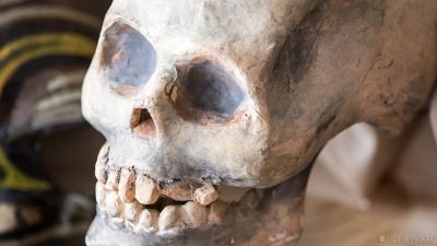 В Мексике нашли тайные могилы с 40 мешками останков