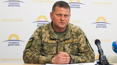 Украинский экс-депутат сообщил об отставке Залужного