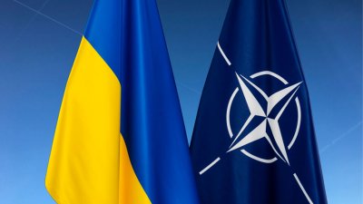 Экс-посол США в СССР: Киевский режим даже при поддержке НАТО не способен создать функционирующее государство