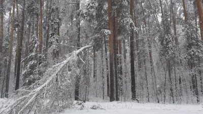 90 аварийных бригад энергетиков устраняют последствия аномальной погоды на Урале